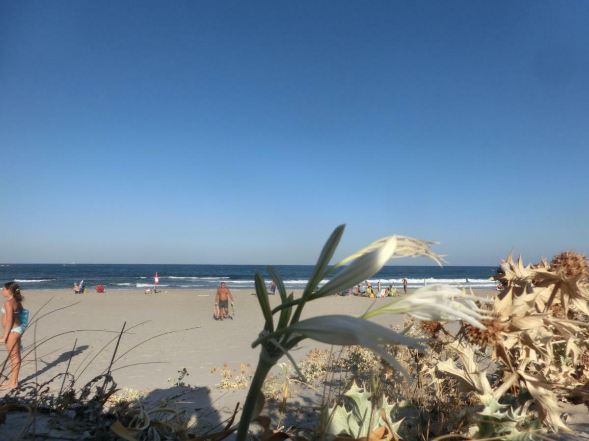 La Costa Est Villa Con Vista Mare In Ogliastra Sardegna Tertenìa Exteriör bild